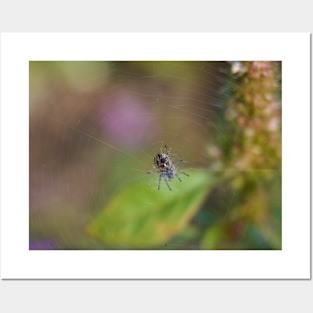 Spider Waits In Its Web For Customers Posters and Art